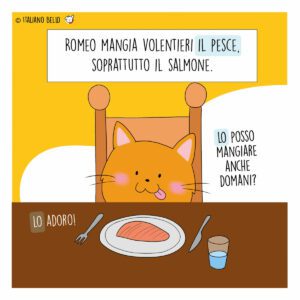 Fumetti 4 I pronomi diretti con il gatto Romeo